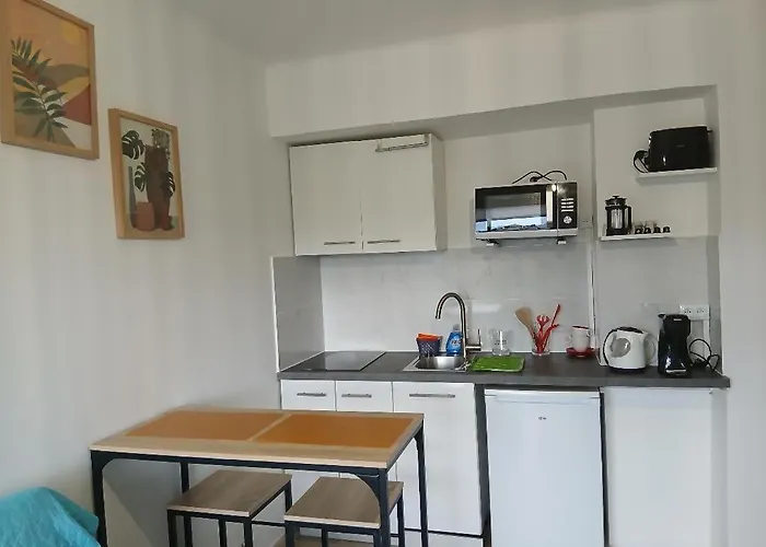 Le Mediterranee Apartment Cannes